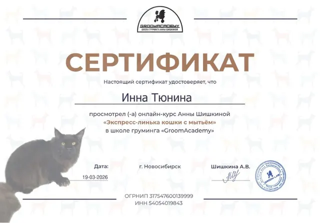 Сертификат: GroomAcademy, онлайн-курс «Экспресс-линька кошки с мытьём», 19.03.2026