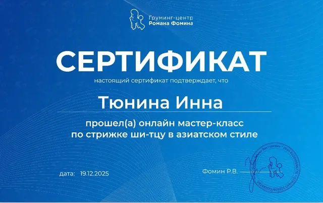 Сертификат: Груминг-центр Романа Фомина, ши-тцу в азиатском стиле, 19.12.2025